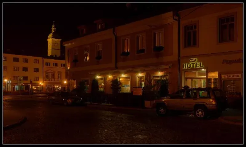 Hotel Maxi